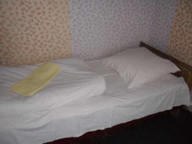 Гостевой дом Guest House Raisa Брест-40
